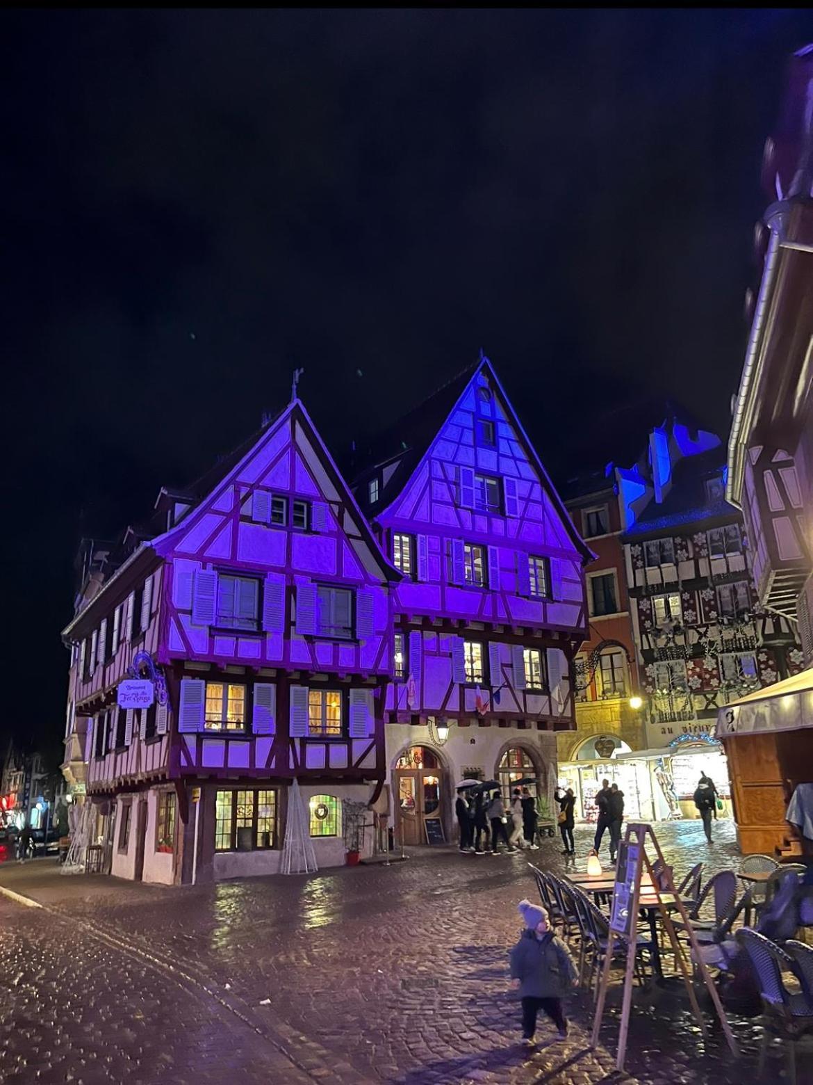 Le Venise, Parking Prive, Neuf & Spacieux Colmar Ngoại thất bức ảnh